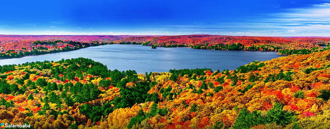 پردازنده چهار هسته ای در تلویزیون ال جی lm5700